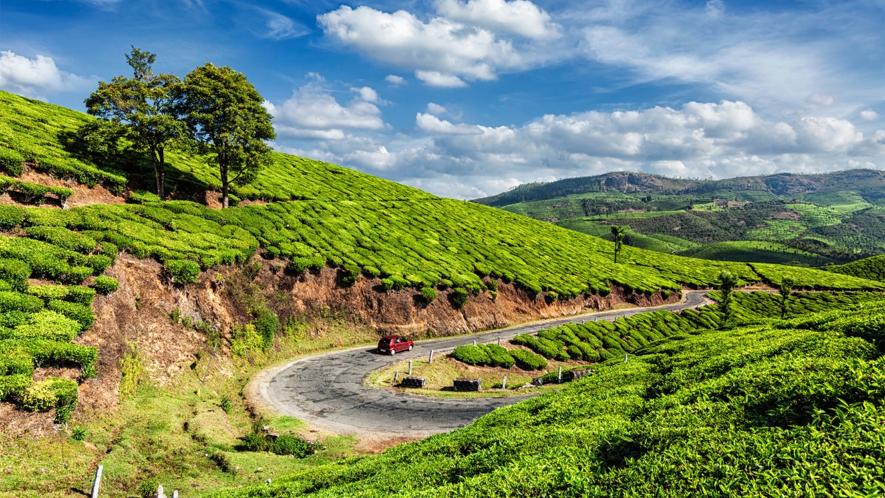 Cochin: 4-Day Private Tour of Munnar, Alleppey &amp; Backwaters