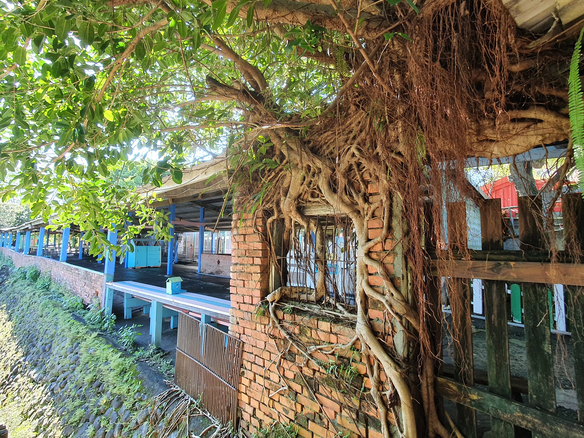 一窺傳統農村風情 一窺傳統農村風情