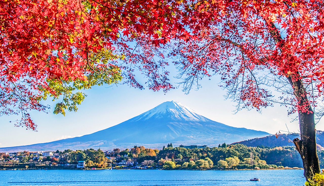 河口湖&新倉山淺間公園&富士山五合目&山中湖泡溫泉看富士山