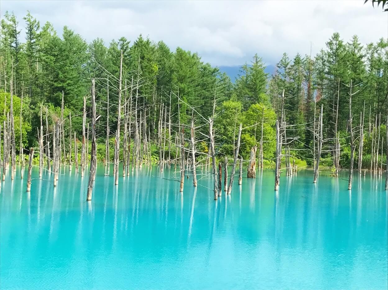 北海道觀景打卡精緻小團一日遊（可選擇含午餐&哈密瓜）