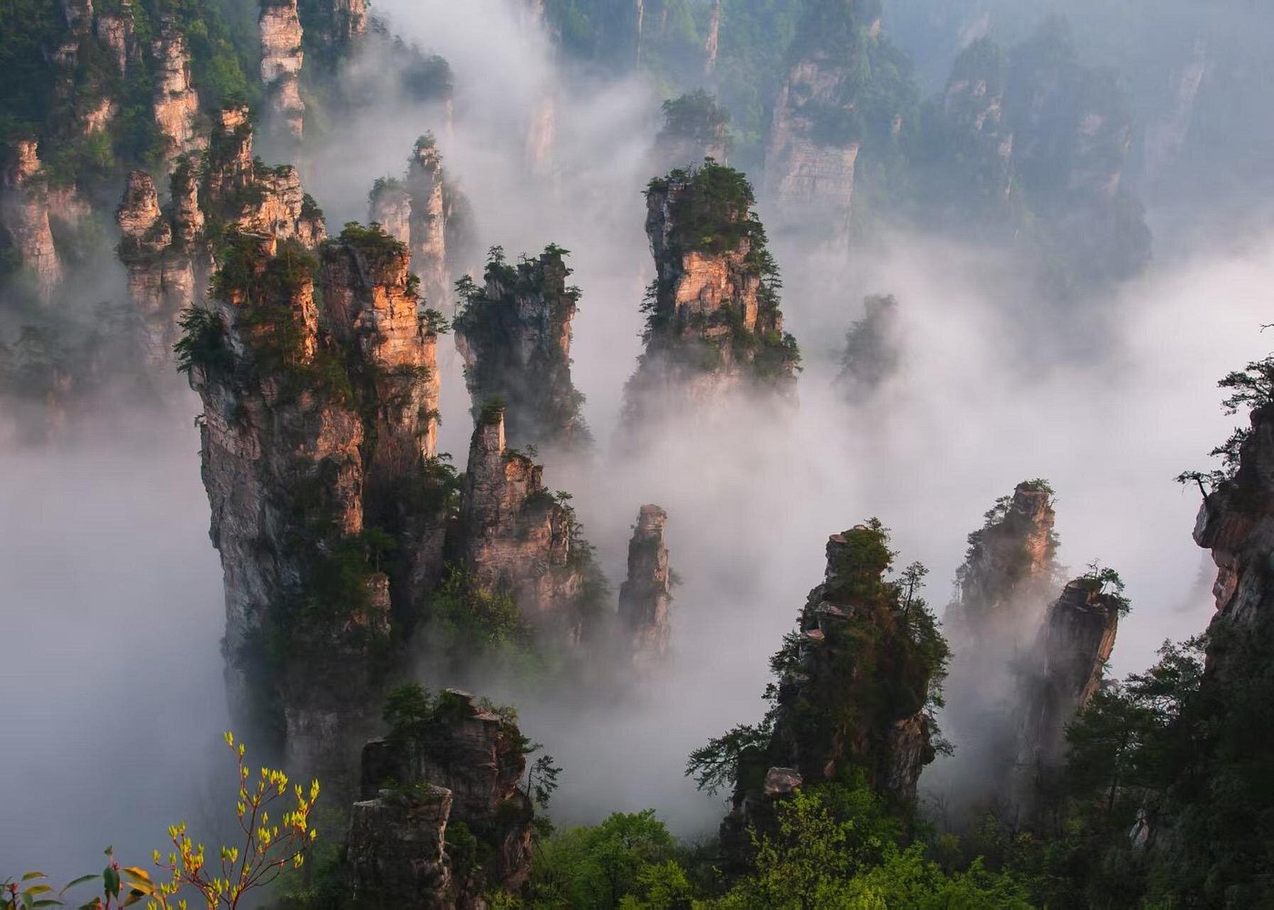 袁家界景區的峭山峰如刀削斧劈,擎天而立,雲霧翻湧時若隱若現,宛如懸浮於雲海之上的外星幻境。 袁家界景區的峭山峰如刀削斧劈,擎天而立,雲霧翻湧時若隱若現,宛如懸浮於雲海之上的外星幻境。