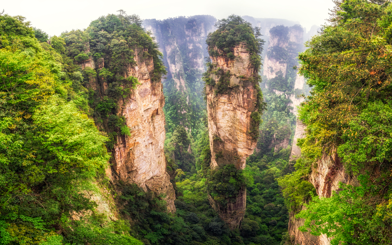 觀神兵聚會、 後花園、天下第一橋，電影《阿凡達》外景拍攝地——“哈利路亞山”探尋影視阿凡達中群山漂浮、 星羅棋佈的玄幻莫測世界；參觀雲霧繚繞、峰巒疊嶂、氣勢磅礴的迷魂臺
