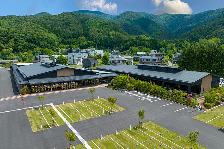 Fuji Mountain Views & Kikyō Shingen Mochi All-you-can-pack Tour