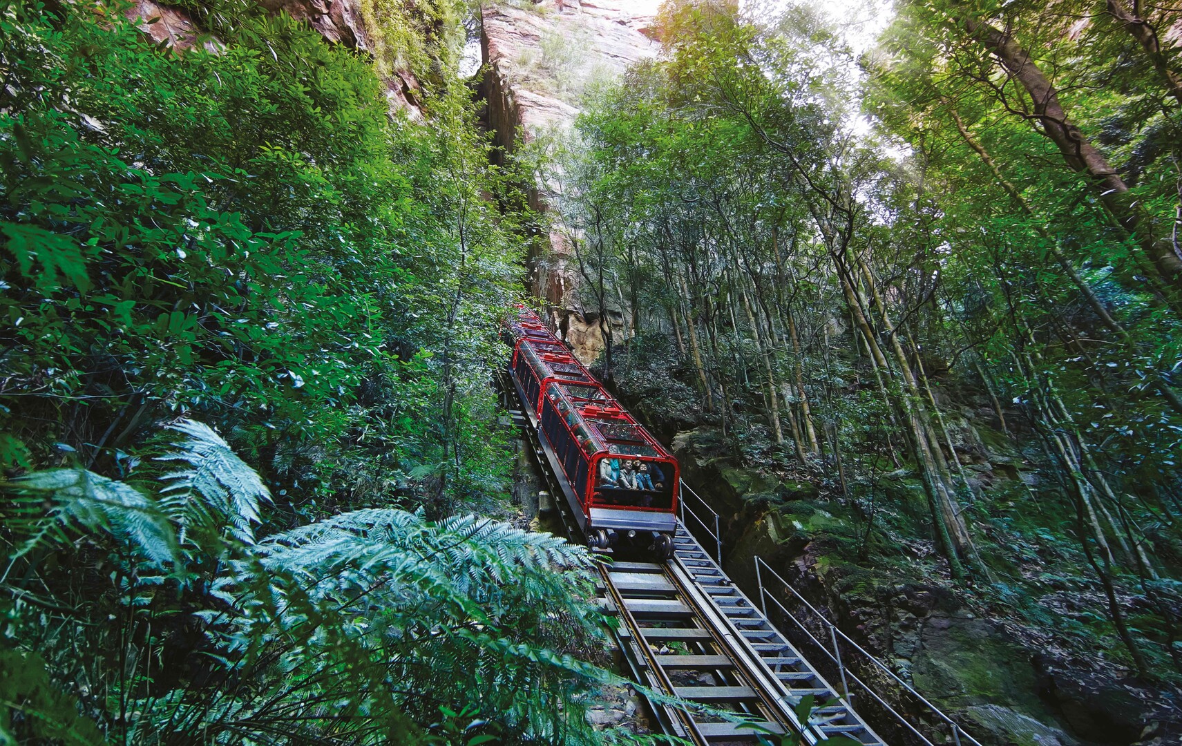藍山終極一日遊