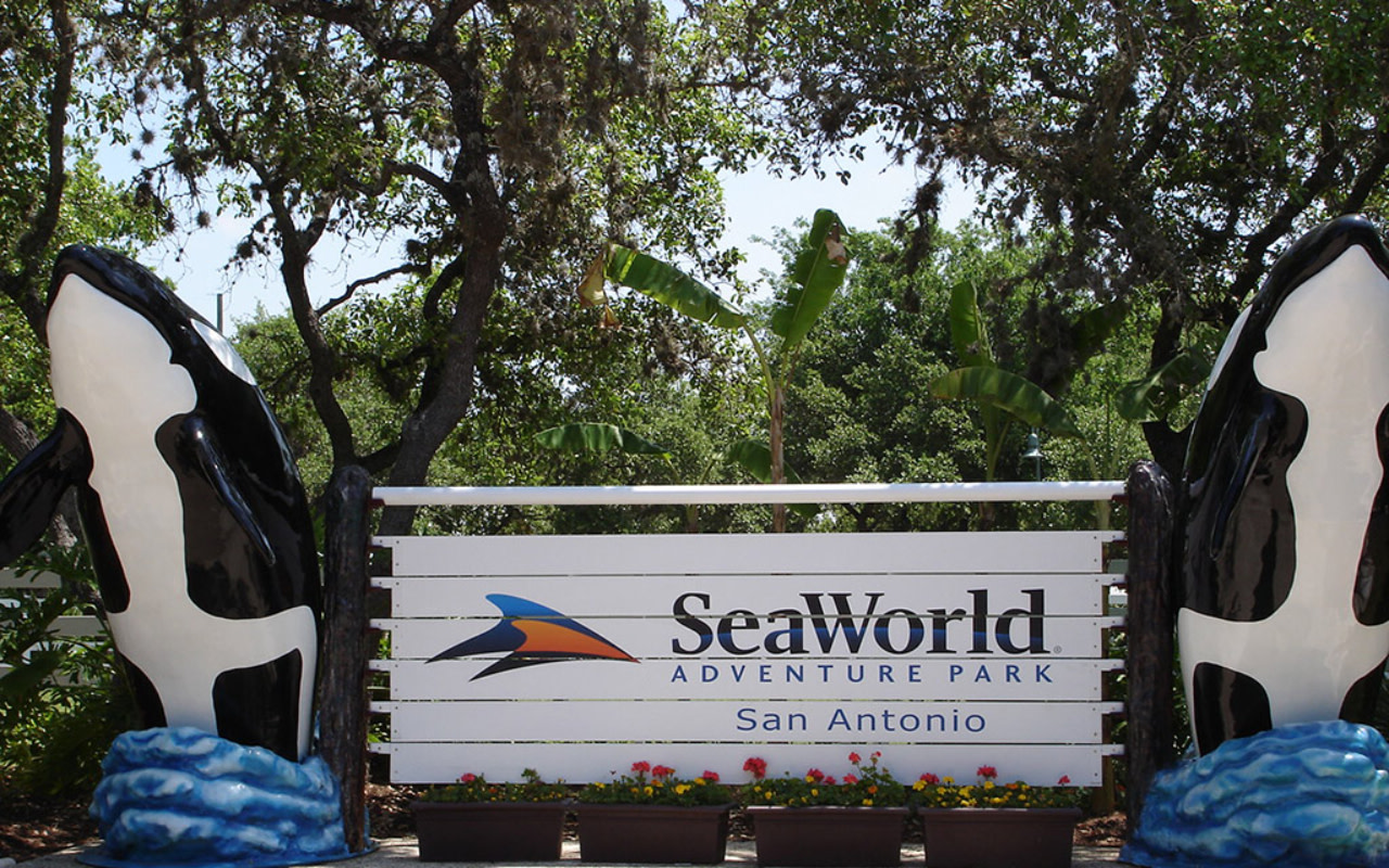 全天候近距離接觸海洋動物、暢玩刺激設施,並盡享適合全家大小的冒險體驗。 全天候近距離接觸海洋動物、暢玩刺激設施,並盡享適合全家大小的冒險體驗。