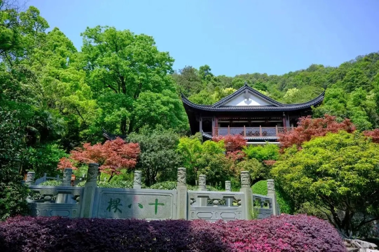 LaoLong Jing Yu ChaYuan