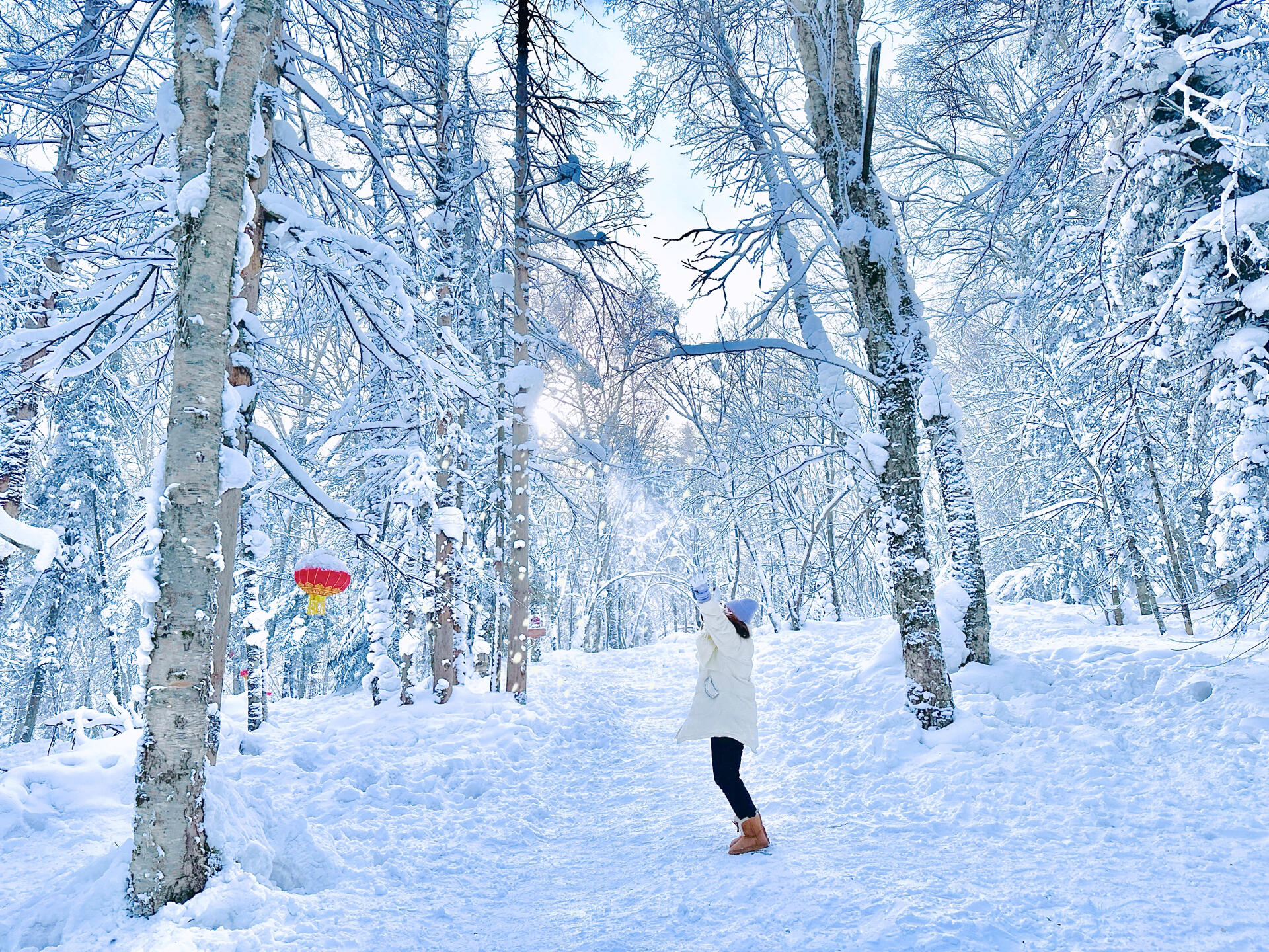 5-Day Private Tour of Harbin, Snow Town & Yabuli