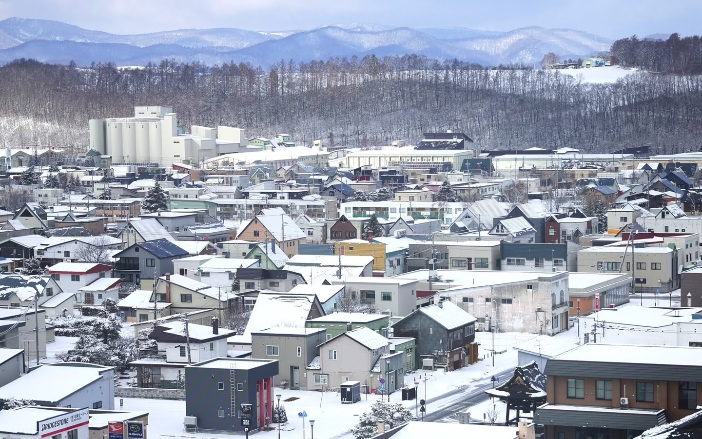 Biei Town + Asahiyama Zoo Asahikawa Day Trip Small Group Tour, enjoy the fairytale-like romantic snow country at a slow pace (departure from Sapporo, happy small group)