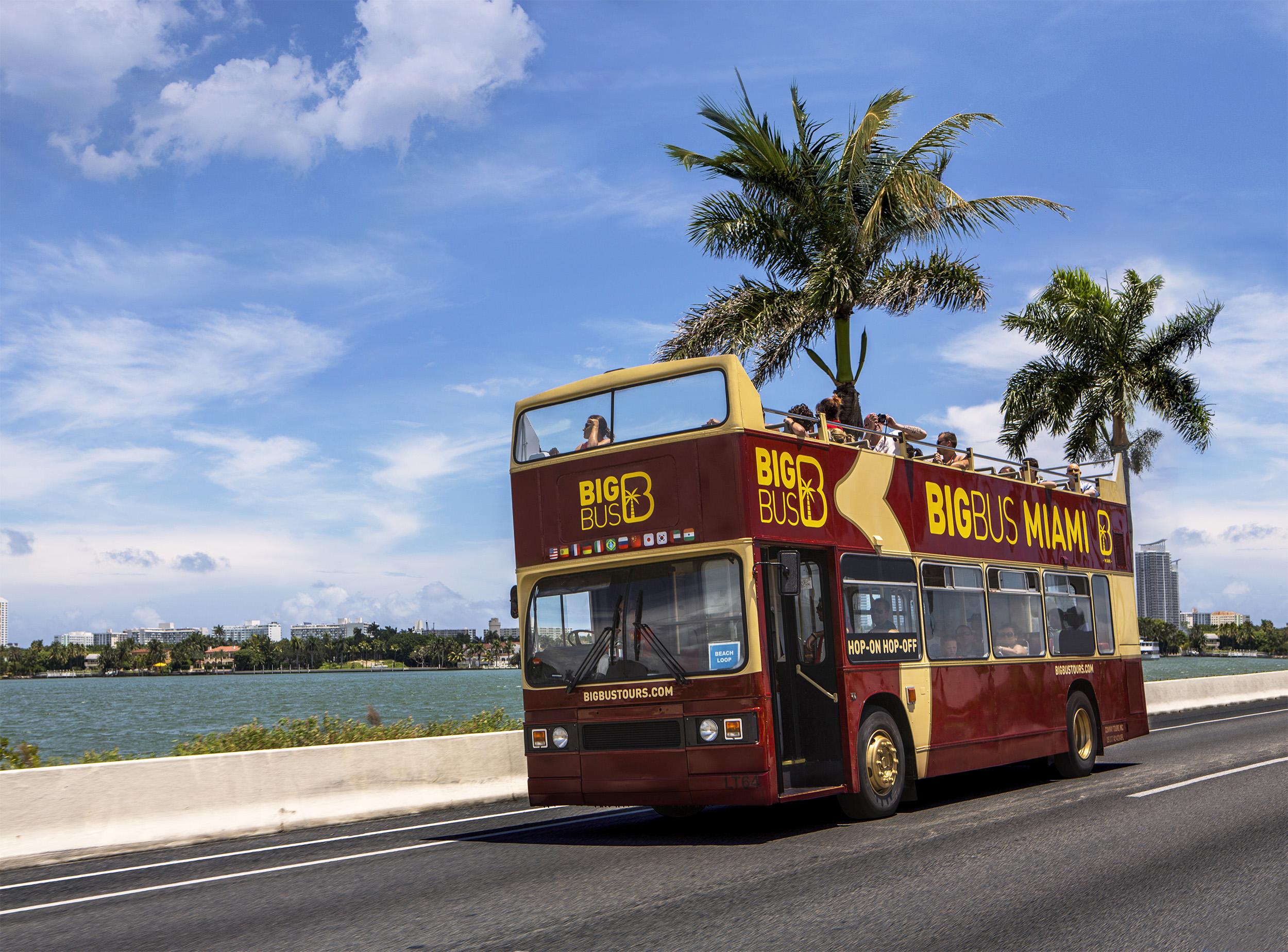 邁阿密 Big Bus 隨上隨下觀光巴士之旅（敞篷）