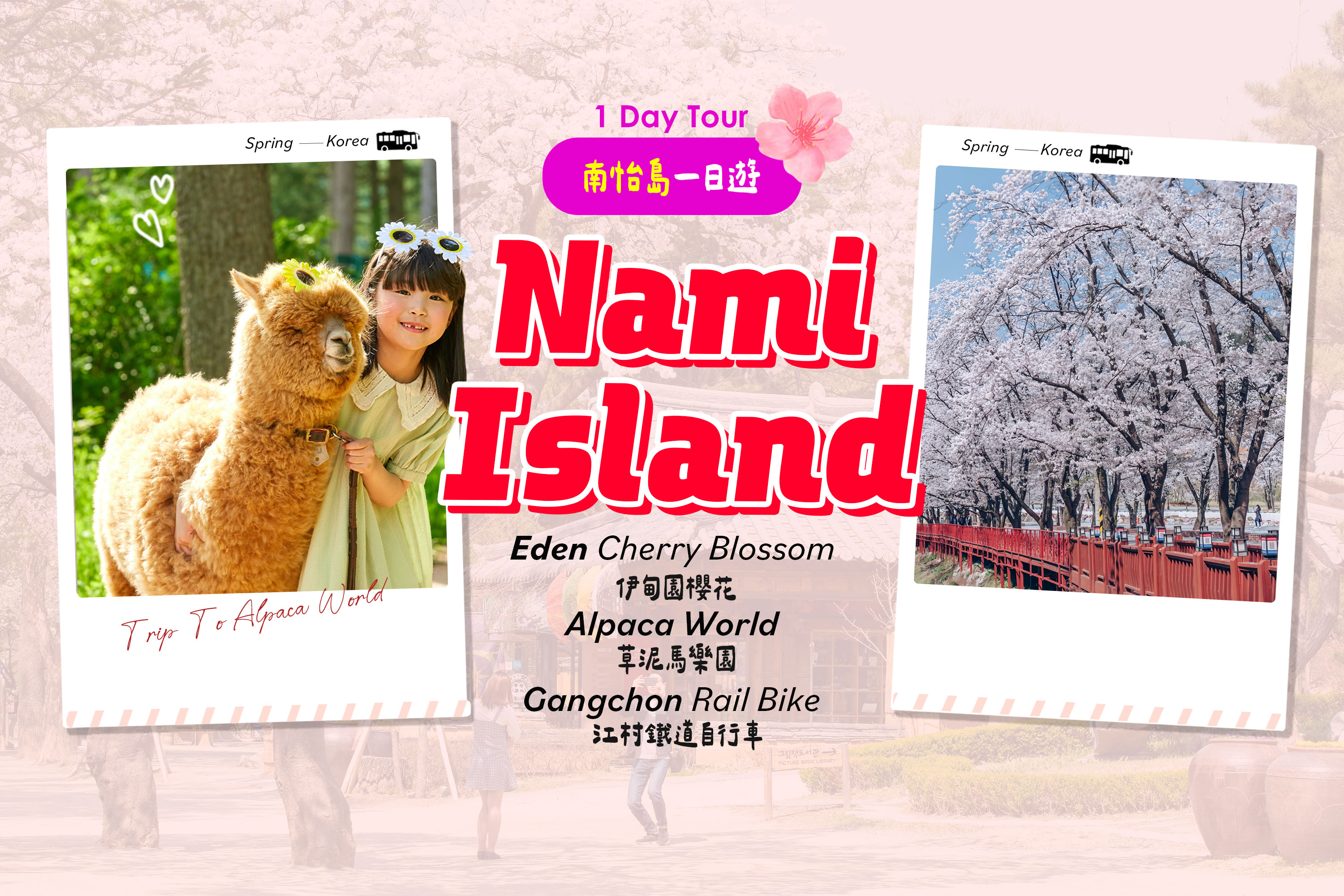 Nami Island / Cheon Il Hong / Pink Muhly / Rail Bike Day Tour