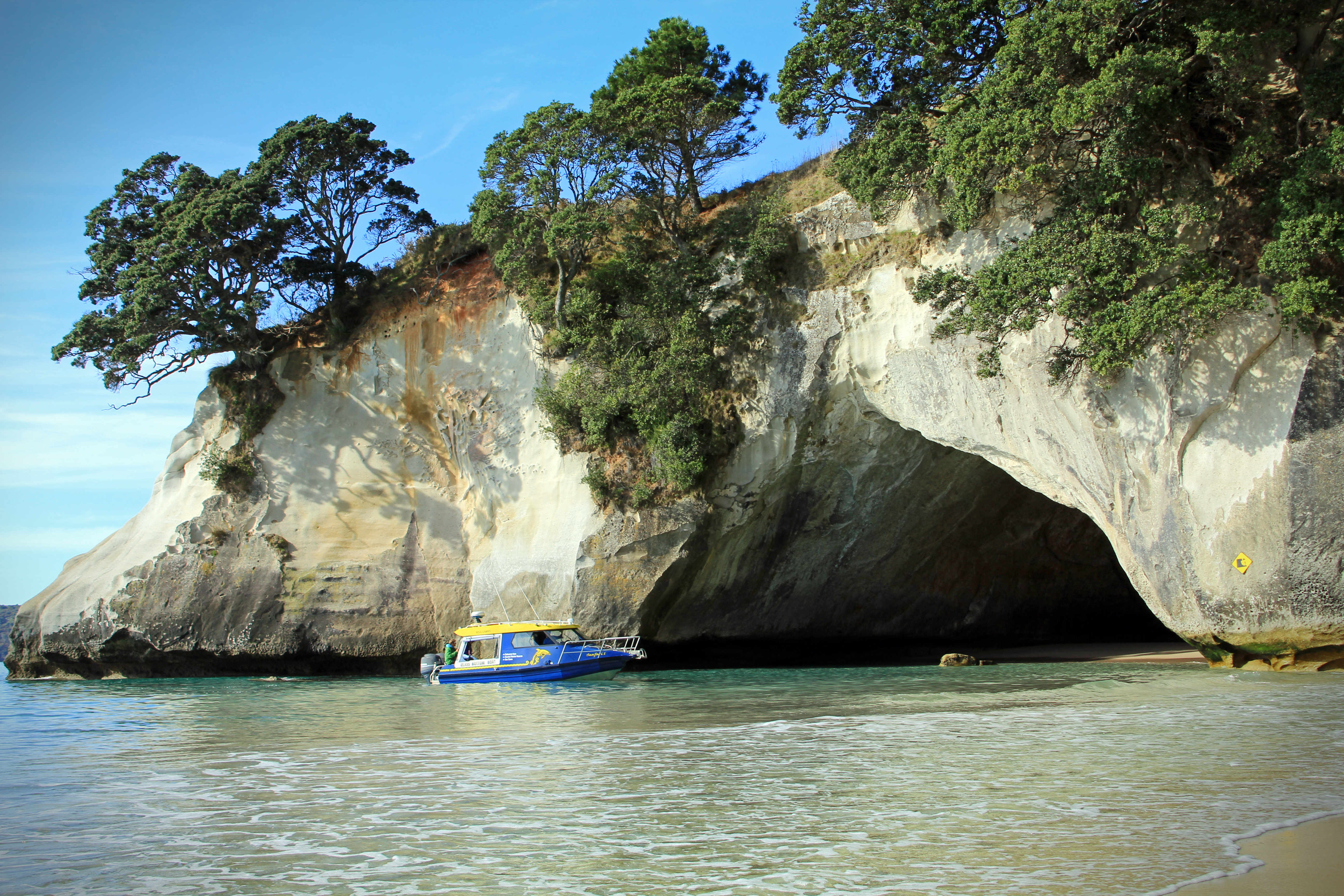 Akaroa Harbour Nature Cruise