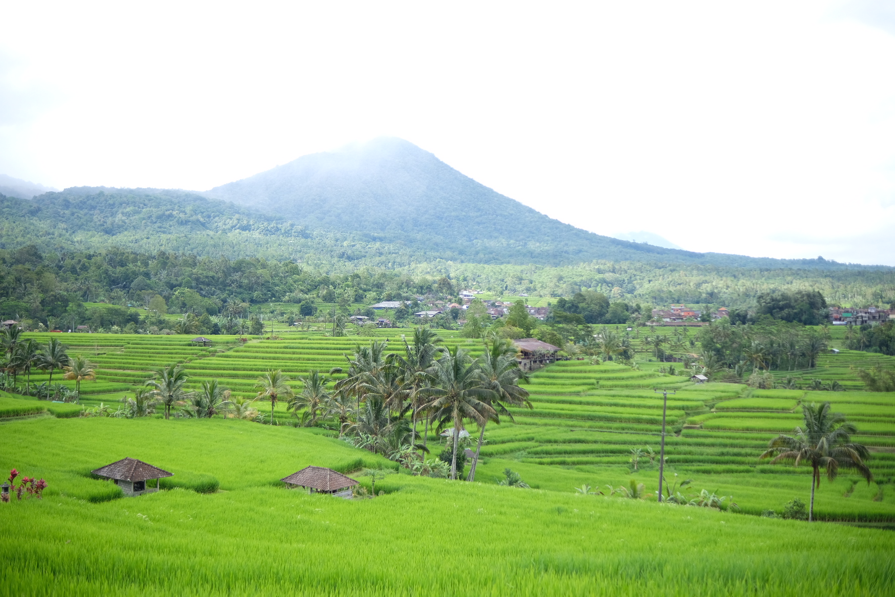 Bali Multi Day Tour With Optional Photographer & Video Drone 