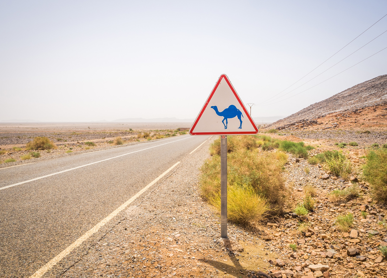 5-Day Private Sahara Tour to Tangier via Merzouga From Marrakech