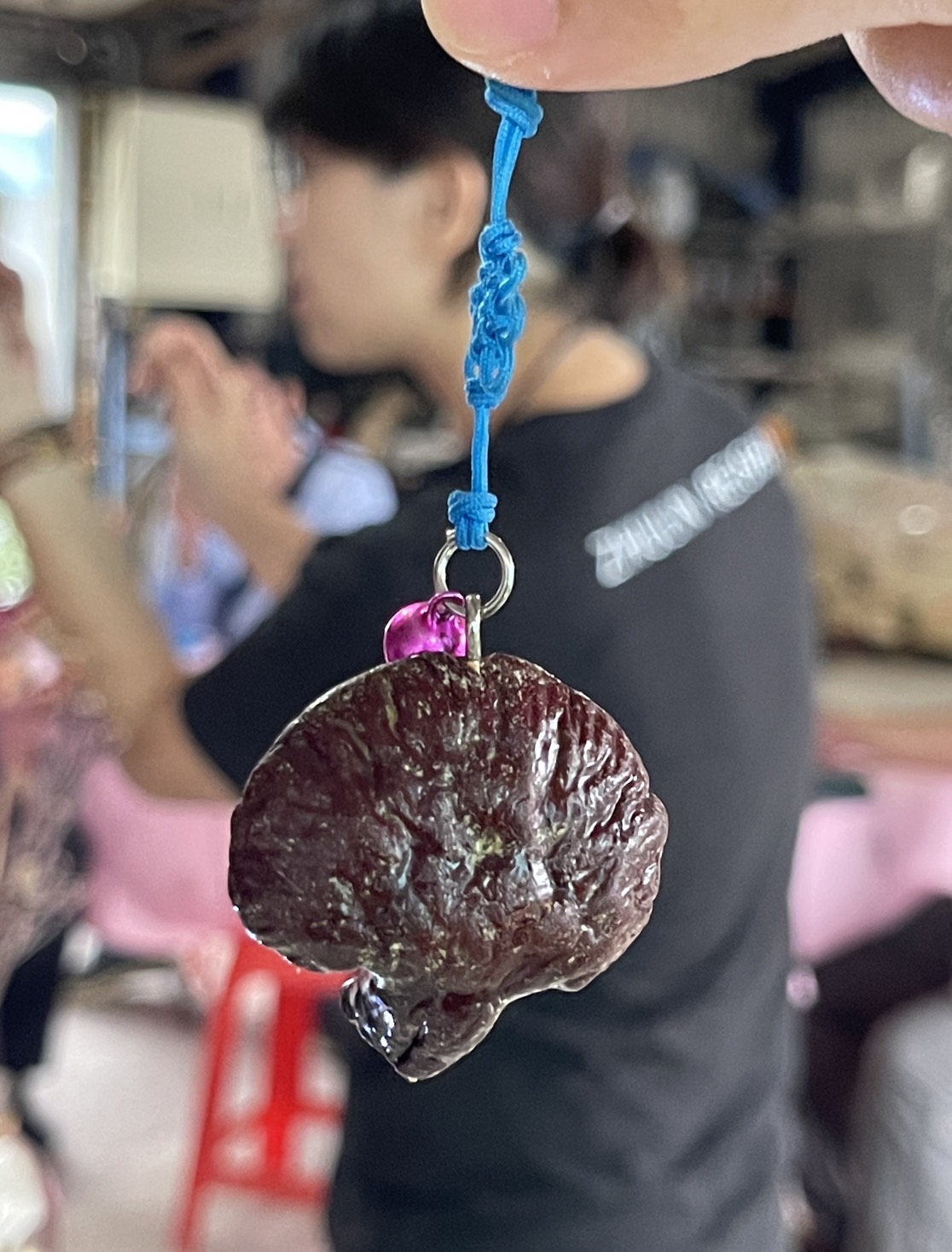 寒溪靈芝美人湯泉二日之旅