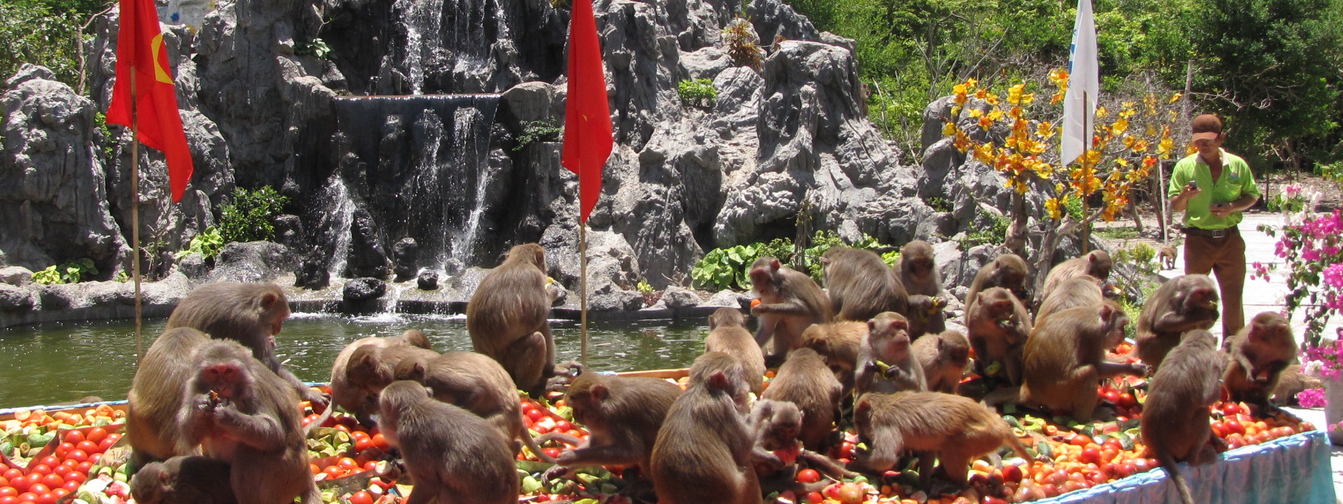 芽莊猴島＆泥漿溫泉私人一日遊