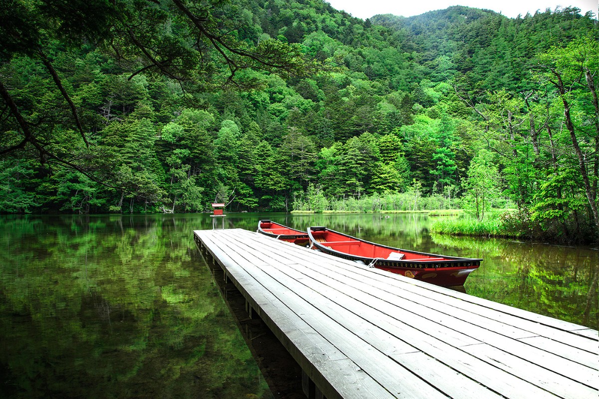 世界遺產白川鄉＆上高地or富山河口湖秘境2日遊（東京出發）