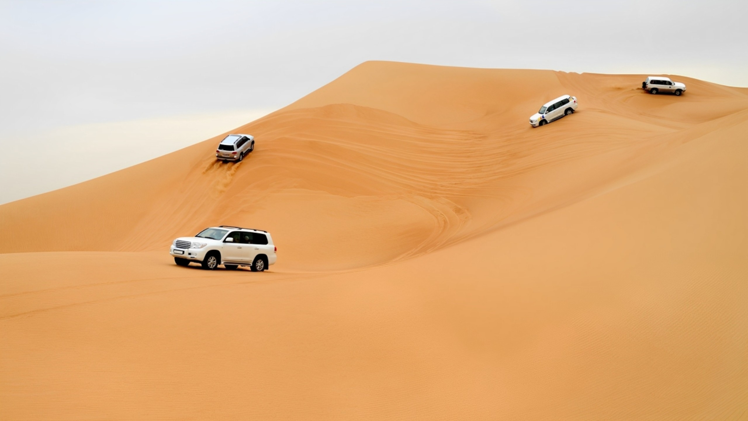 Experience a thrilling adventure across Dubai’s golden dunes while immersing yourself in Emirati culture