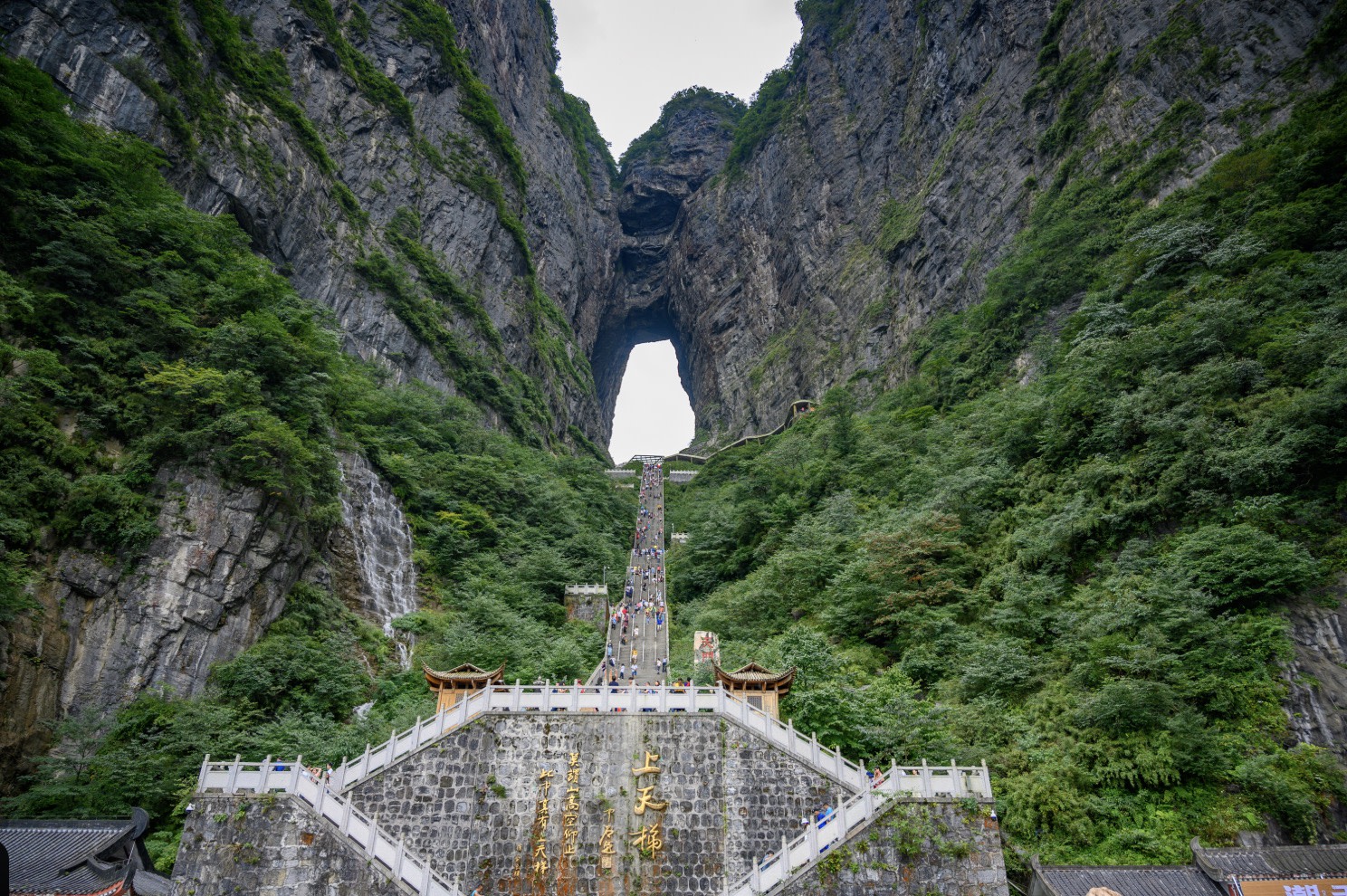 One-day tour of Zhangjiajie Tianmen Mountain National Forest Park