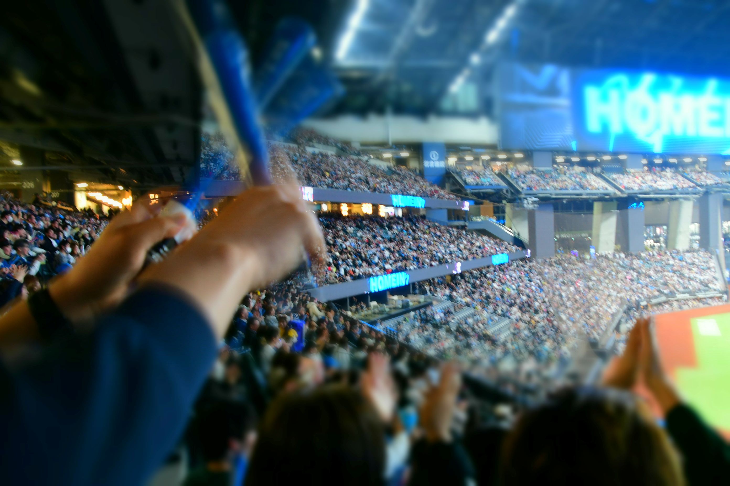 Japanese Baseball Experience with Guide & Transfers