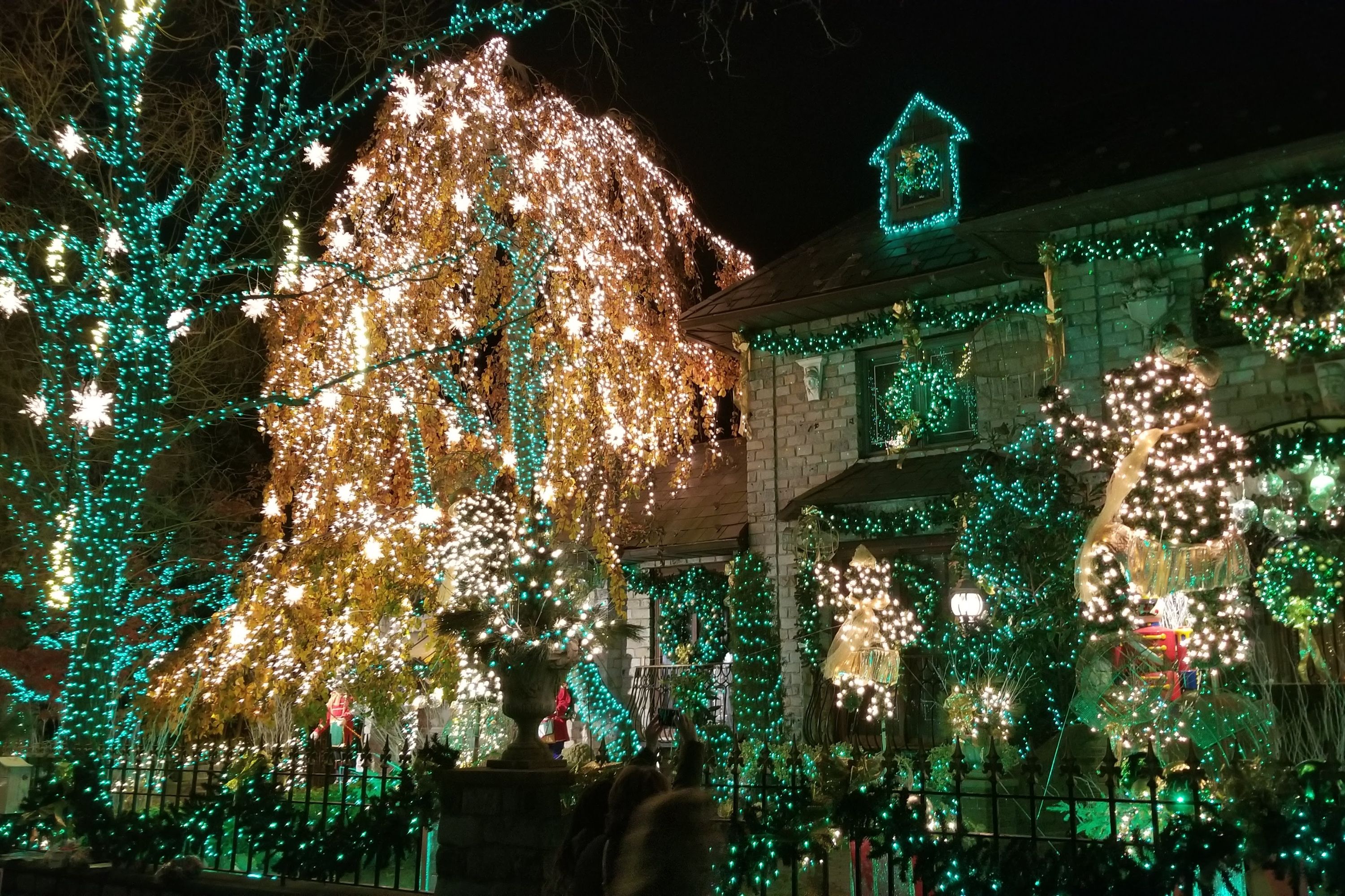 Brooklyn Dyker Heights Christmas Wonderland Tour from Manhattan