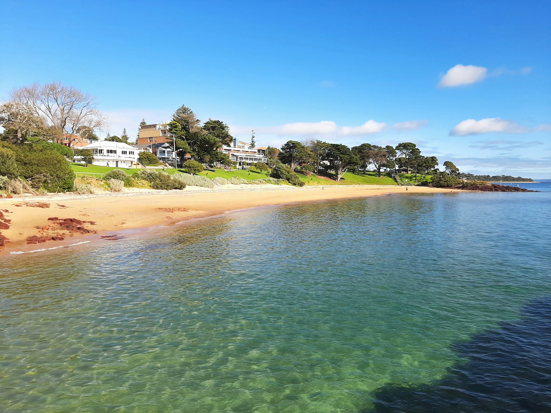 Phillip Island Wildlife Cruise and Penguins Tour from Melbourne