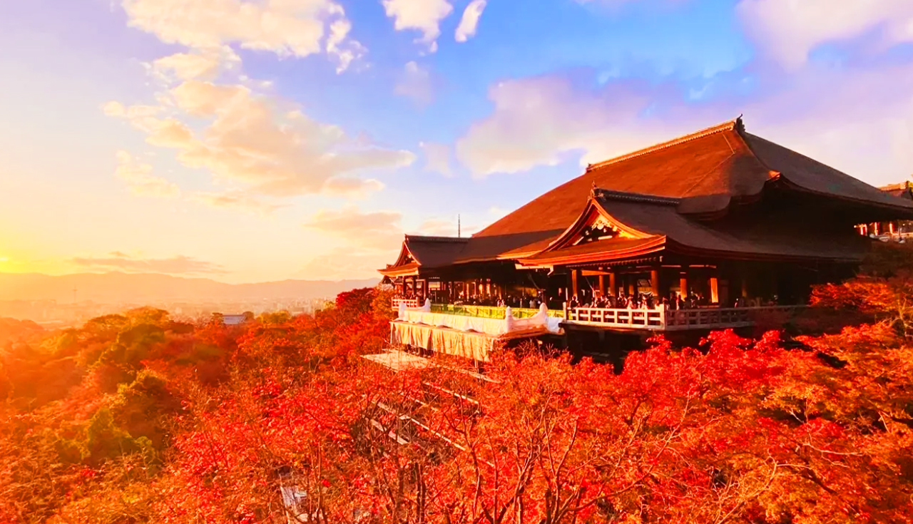 Kyoto Kinkakuji Temple, Kiyomizu Temple, Matcha Experience, Heian Shrine, and Rabbit Shrine Day Tour