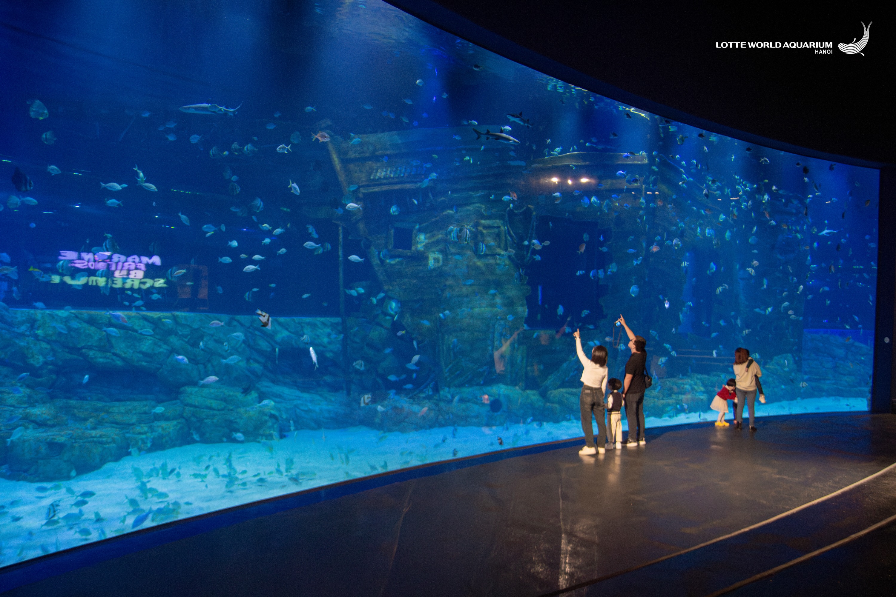 河內樂天世界水族館門票