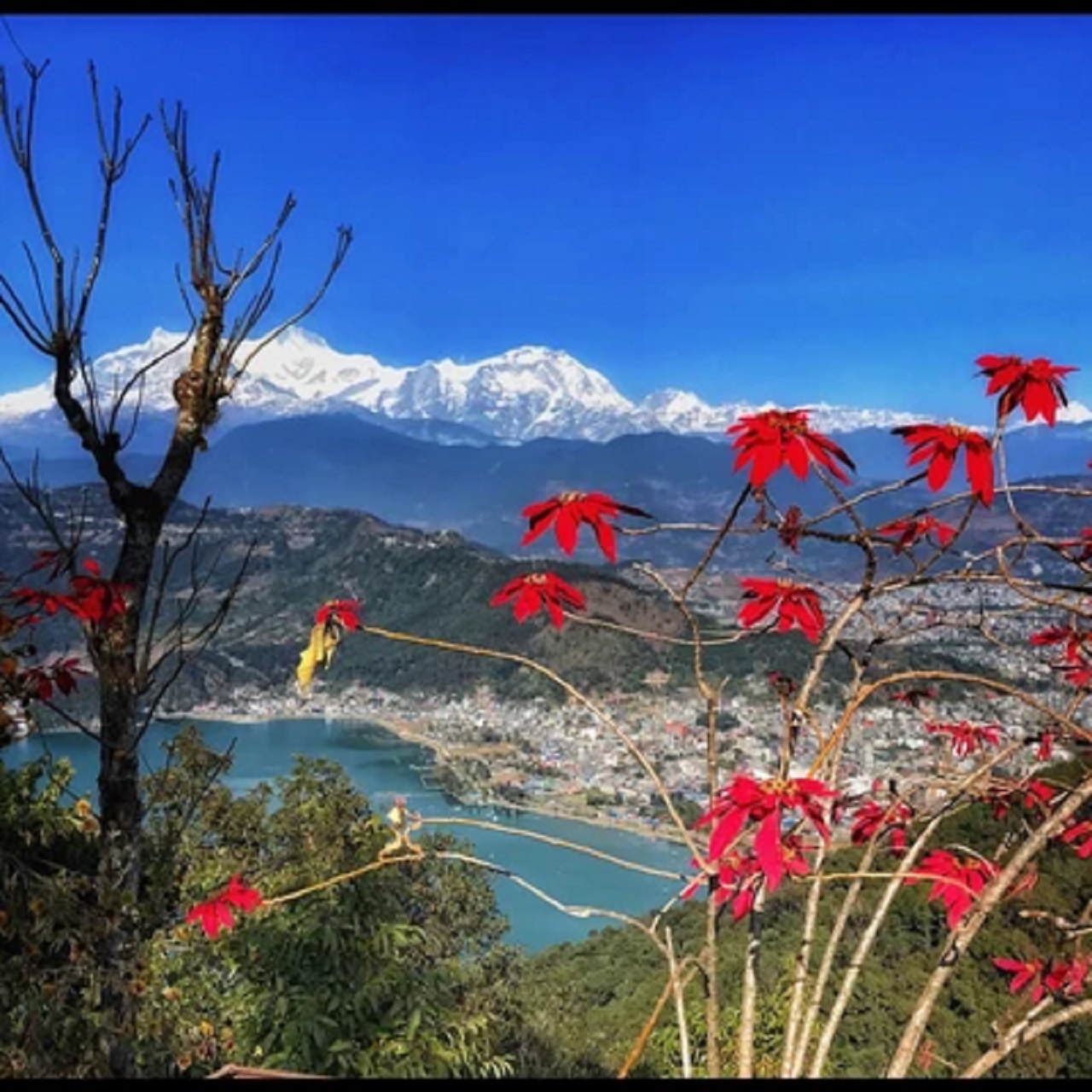 喜馬拉雅山Sarangkot3小時日出之旅