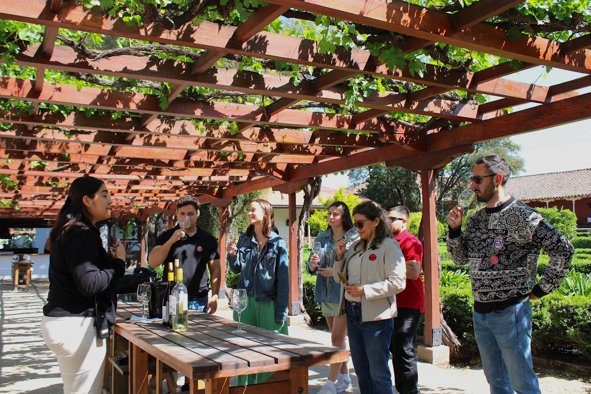 Santa Rita Vineyard Tour with Lunch, an Unforgettable Day!