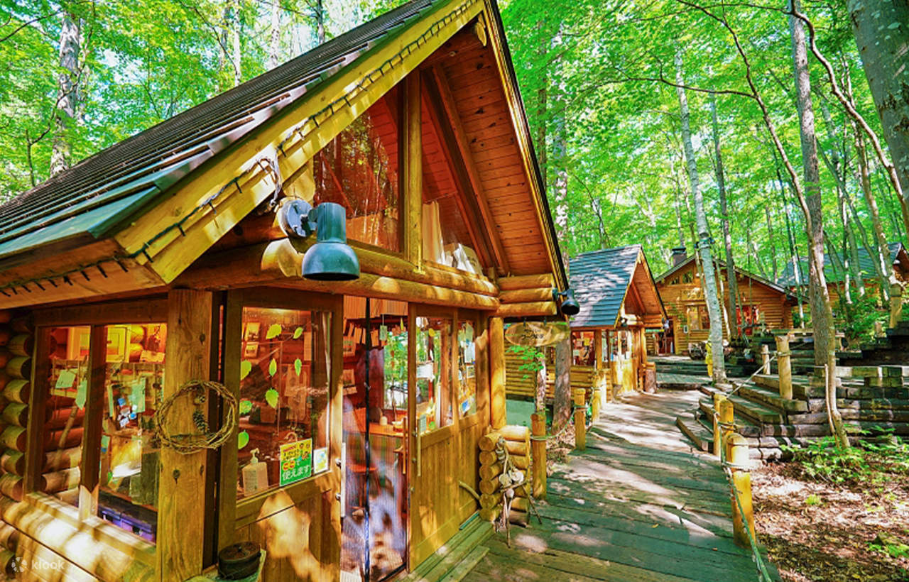 Biei Blue Pond & Furano Flower Day Tour｜Buffet + Melon Feast 