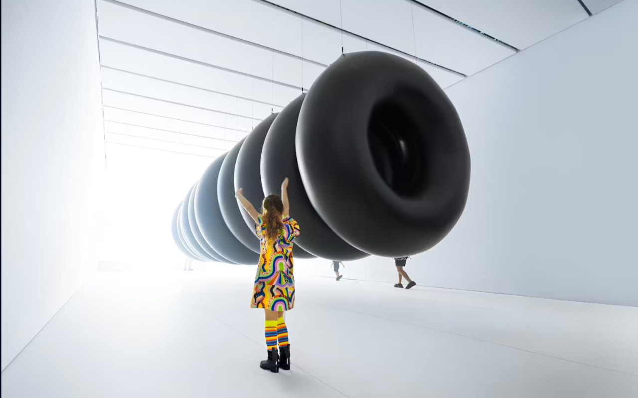 Balloon Museum Lets Fly Exhibition Entry Ticket