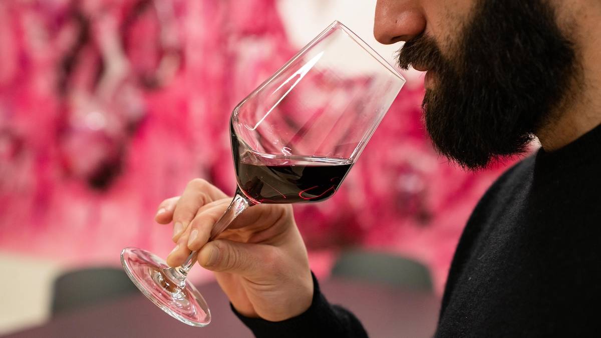 維洛納 (Verona) 的阿瑪羅內 (Amarone) 紅酒品嚐體驗