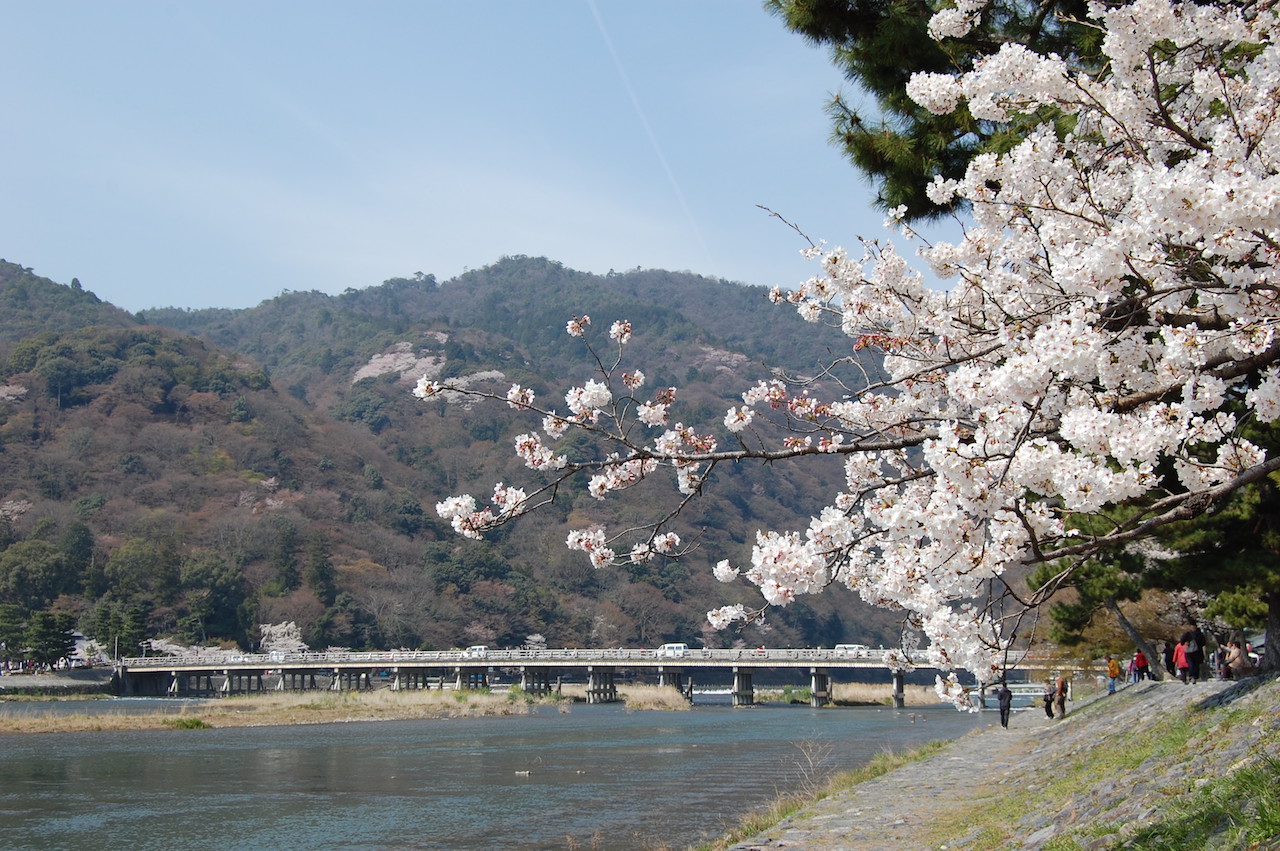 Kyoto City, Sagano Romantic Train & Hozugawa River Boat Ride Tour