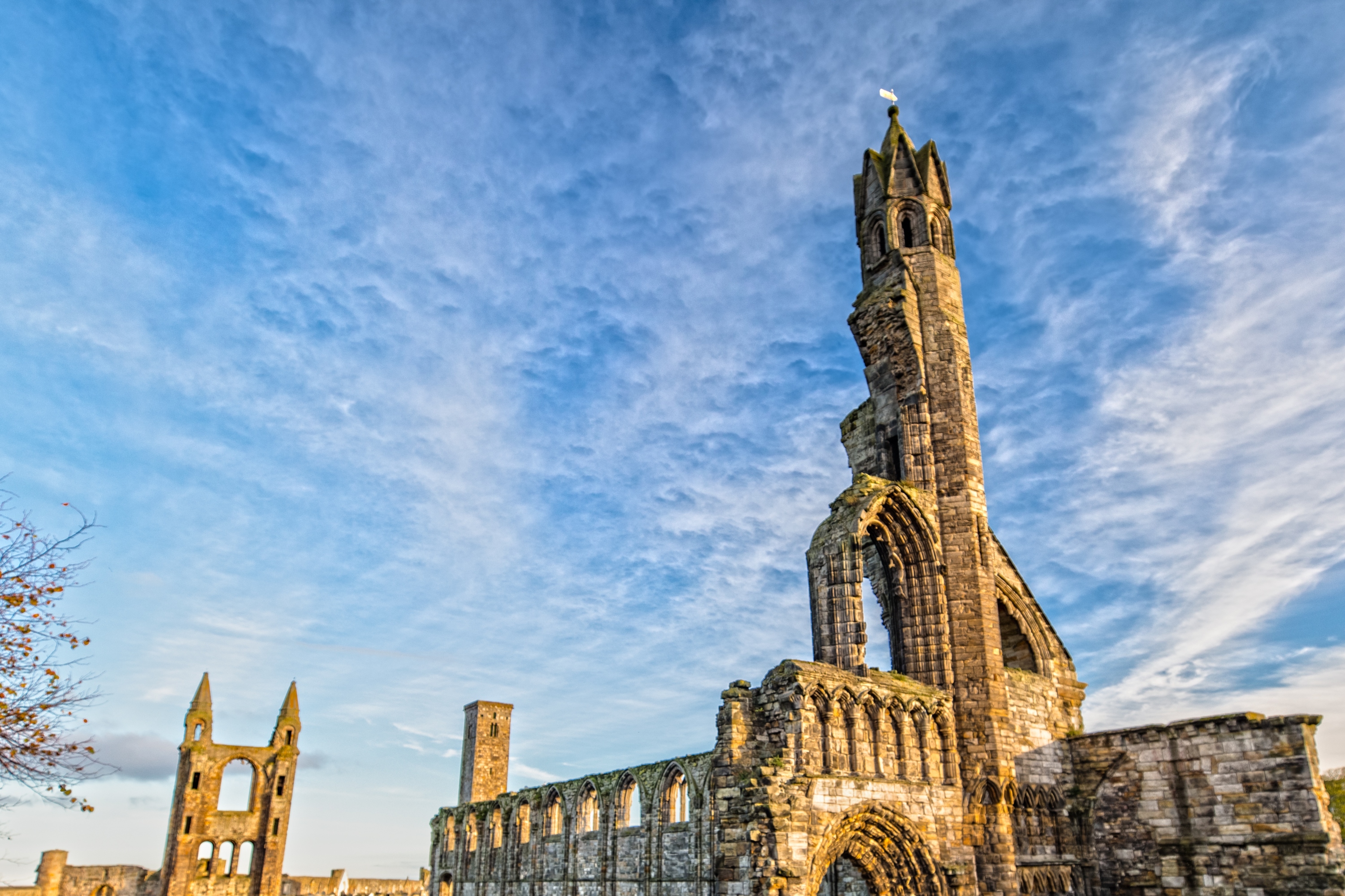 Admire the stunning ruins of St Andrews Cathedral, steeped in history and beauty