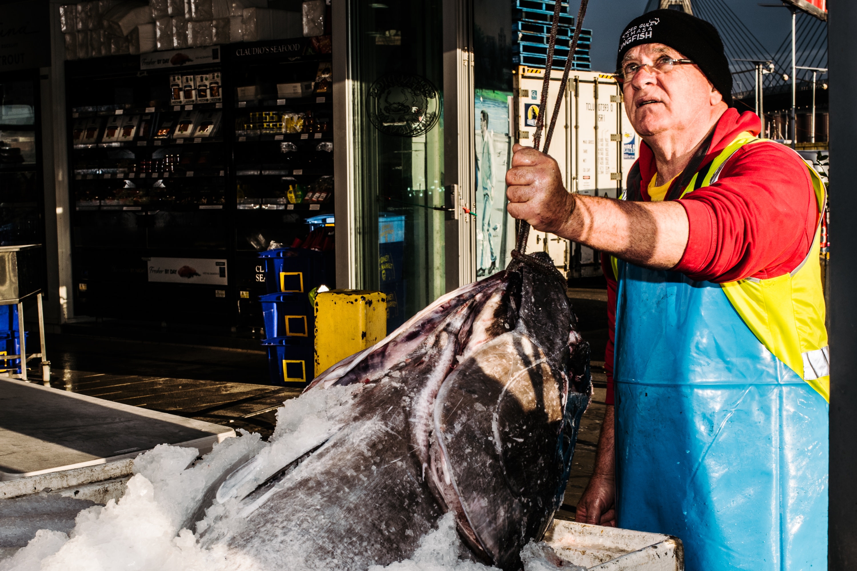 Sydney Fish Market Half-Day Small Group Walking Tour