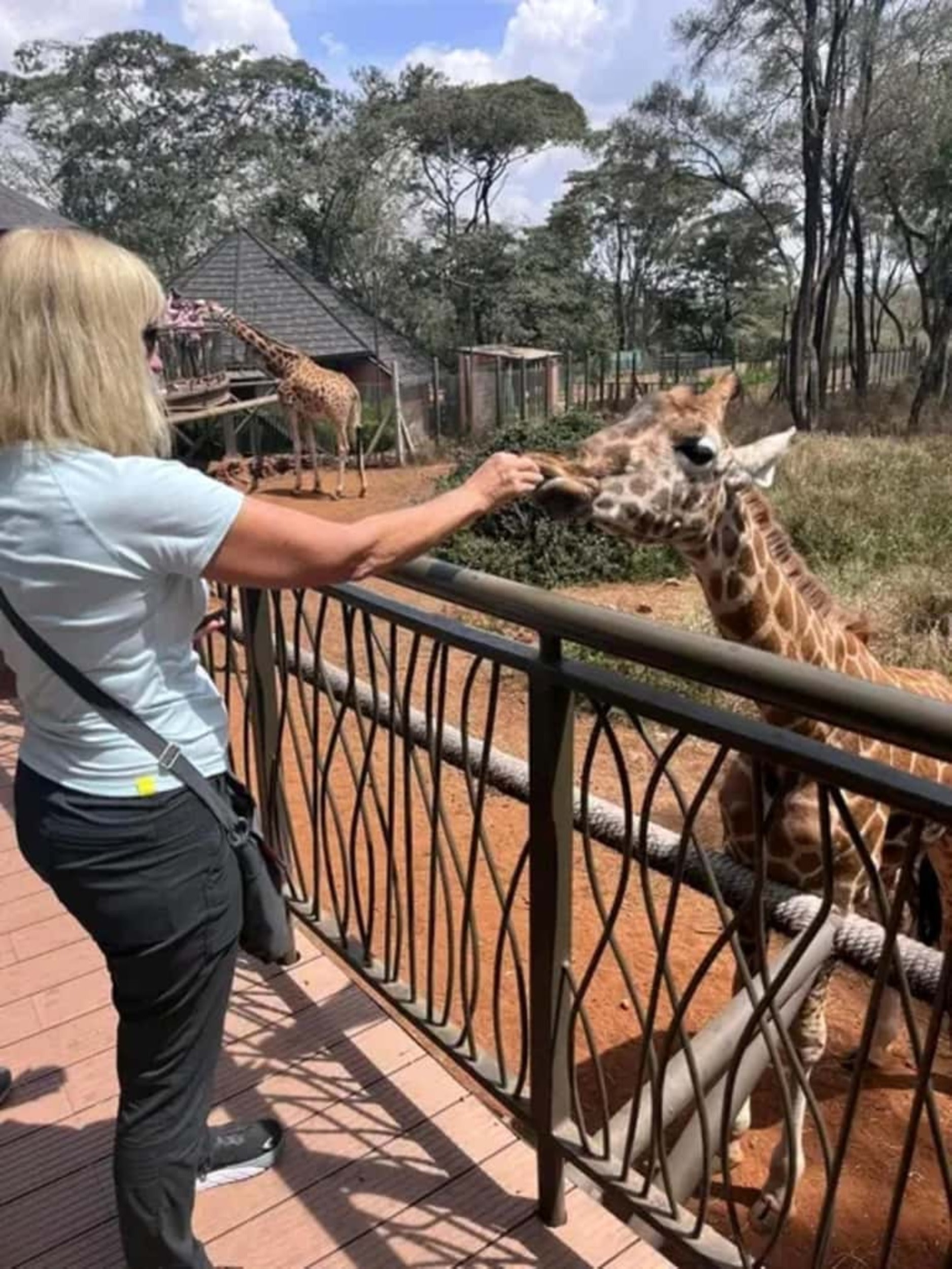 Mombasa: Guided Nature Walk Amongst Giraffes
