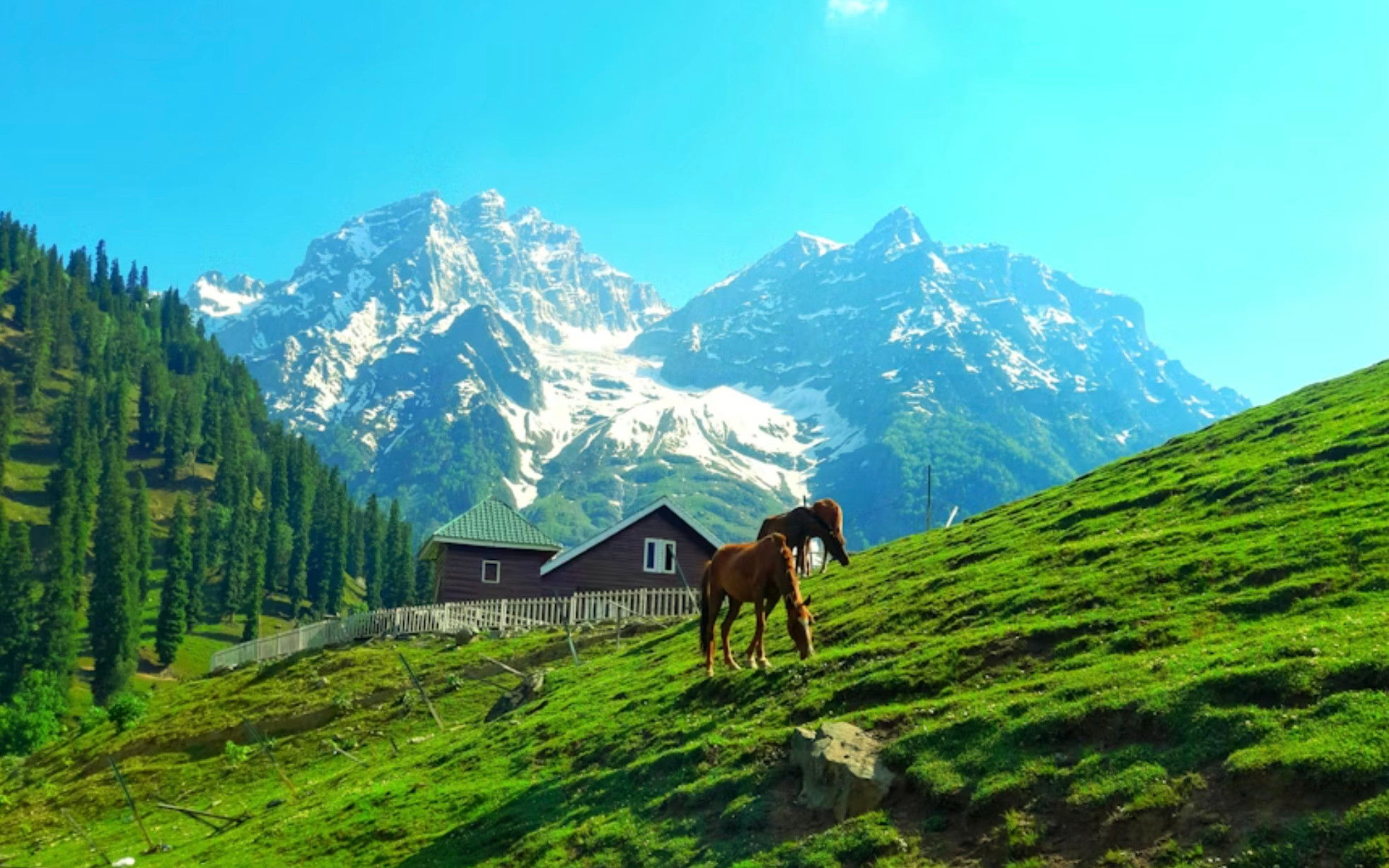 From Srinagar: Private Sonamarg Day Trip with Chauffeur & AC Car 