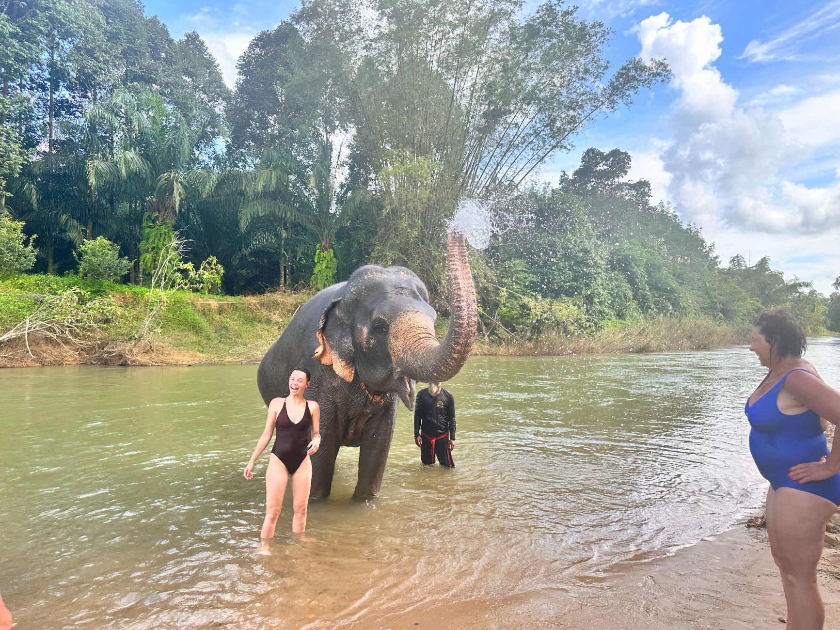 Continue the enchanting journey with a heartwarming session of elephant bathing.