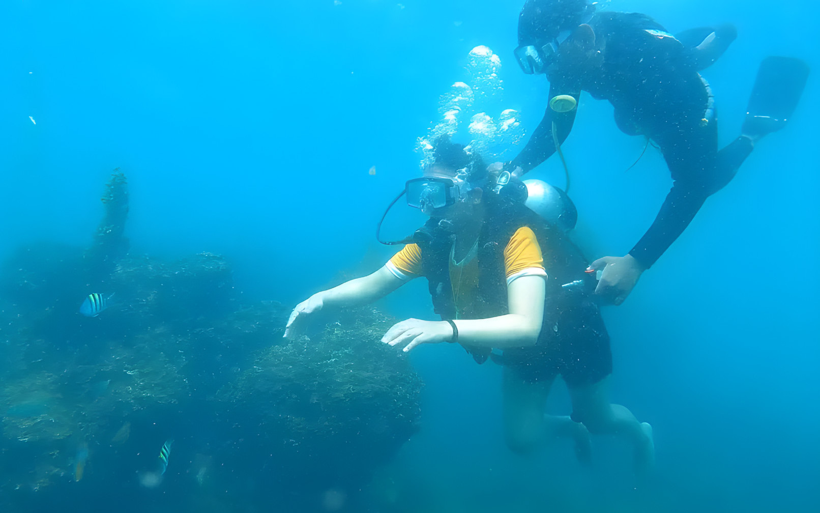 South Goa: Scuba Diving & Water Sports Combo