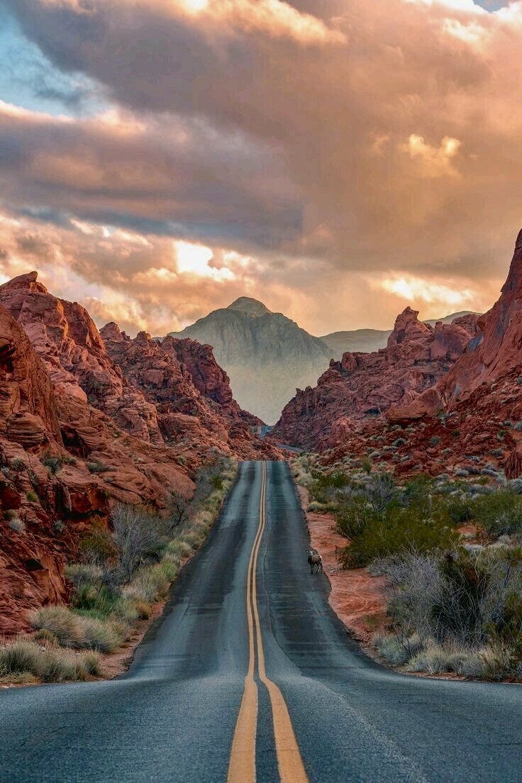 Valley of Fire Sunset Tour from Las Vegas 