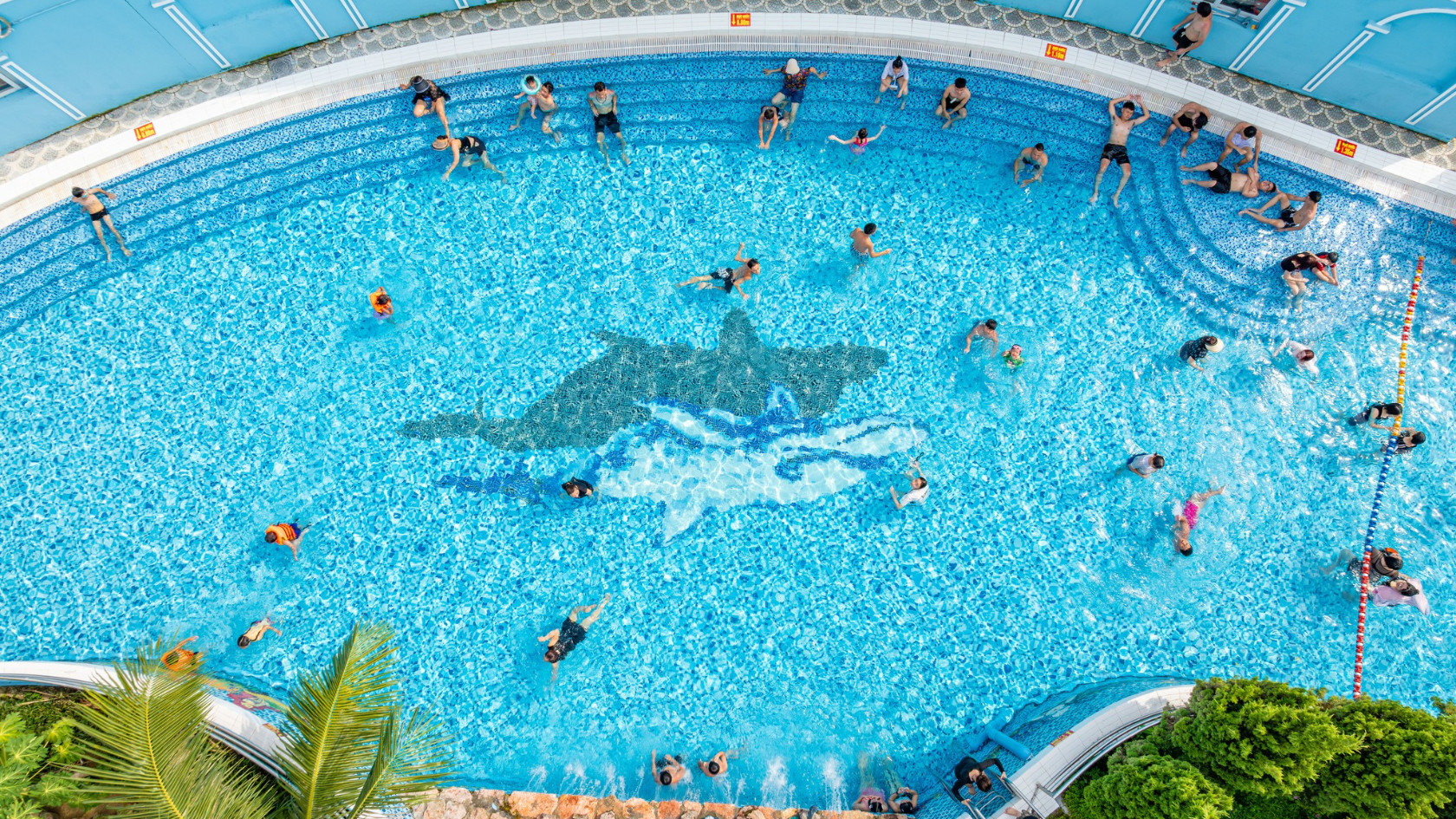Massive Pool Area