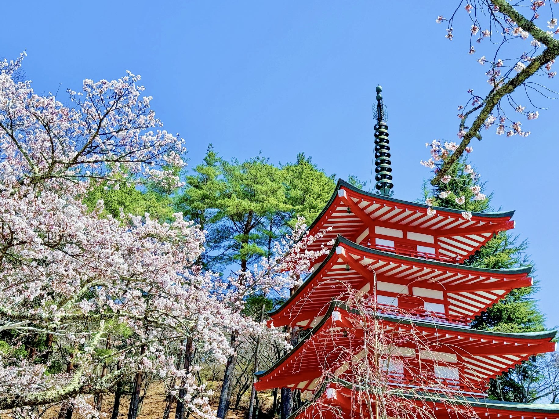 富士山經典一日遊｜五合目/新倉山公園+忍野八海+御殿場奧特萊斯/溫泉（二選一）贈送特色富士山泉草餅