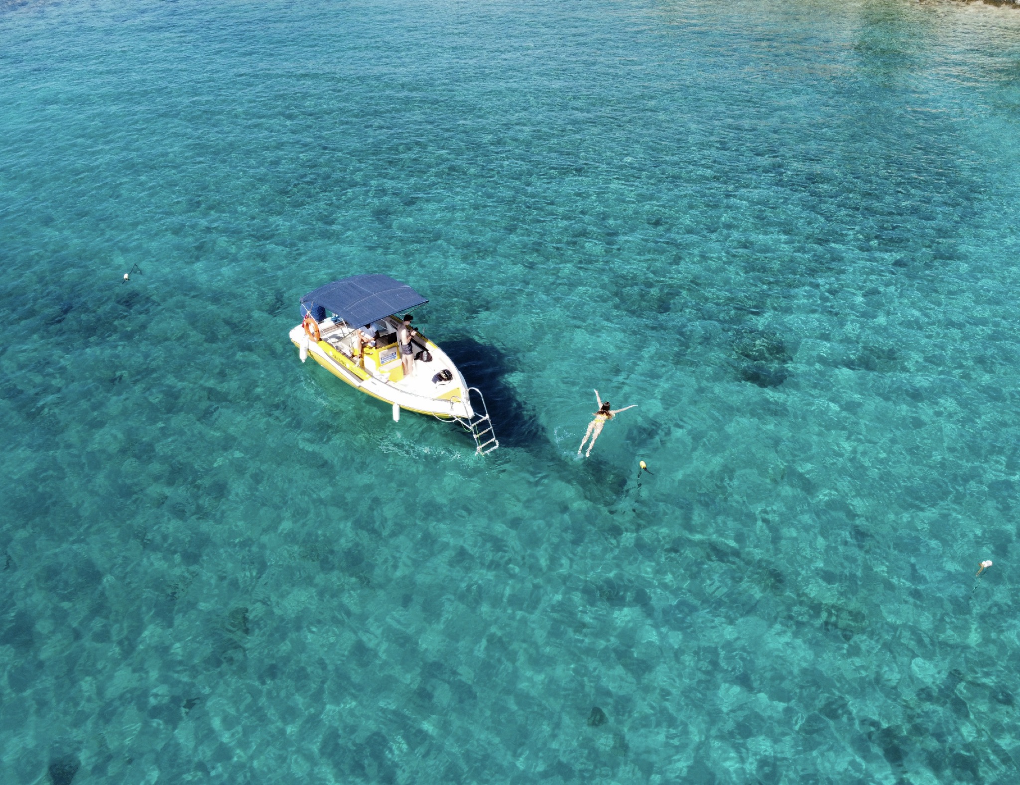 swim threw the crystal clear waters and get the love you deserve