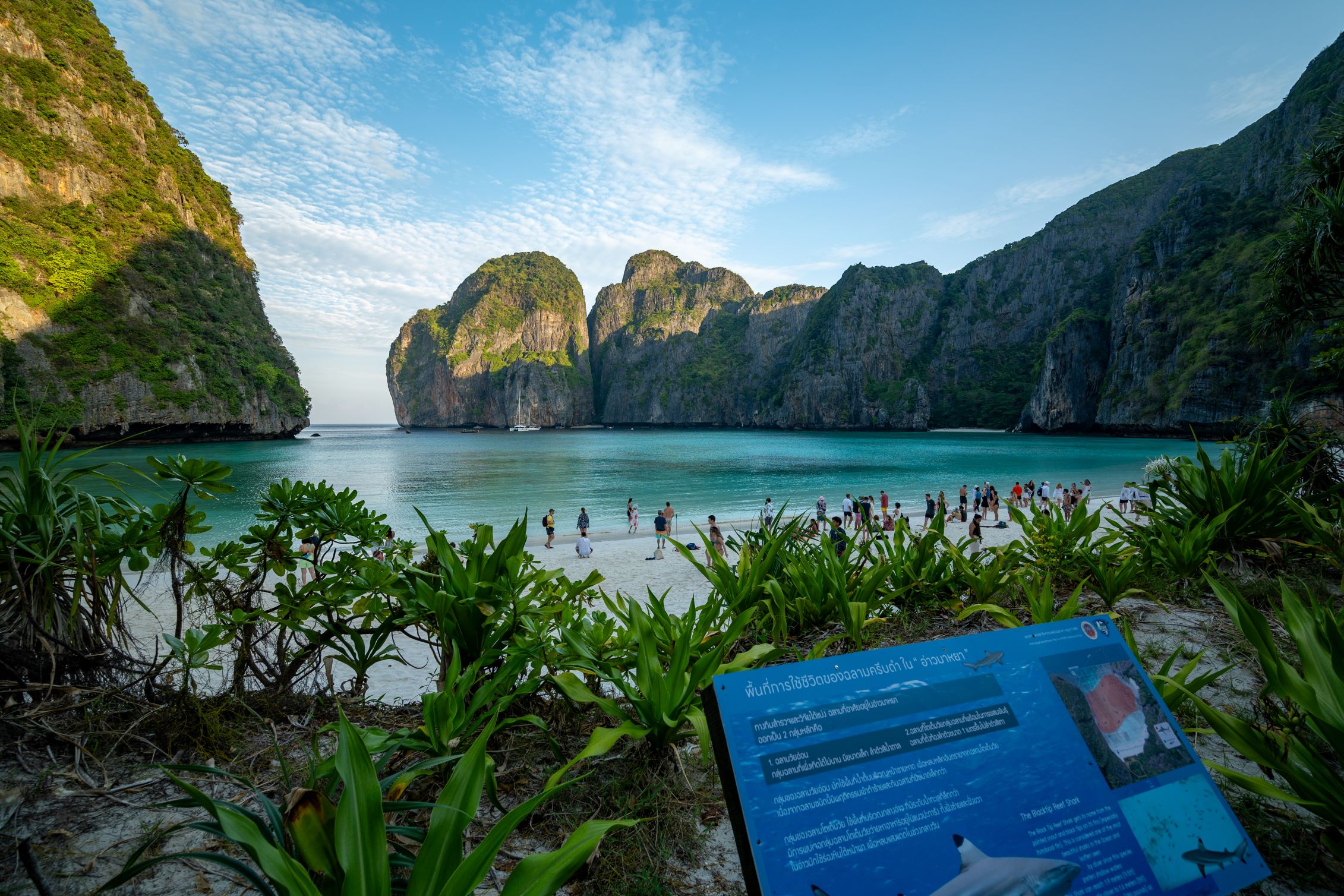 皮皮島日出小團快艇之旅