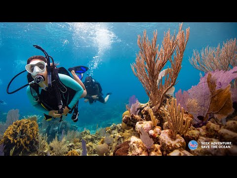 長灘島 PADI 潛水中心初學者潛水課程