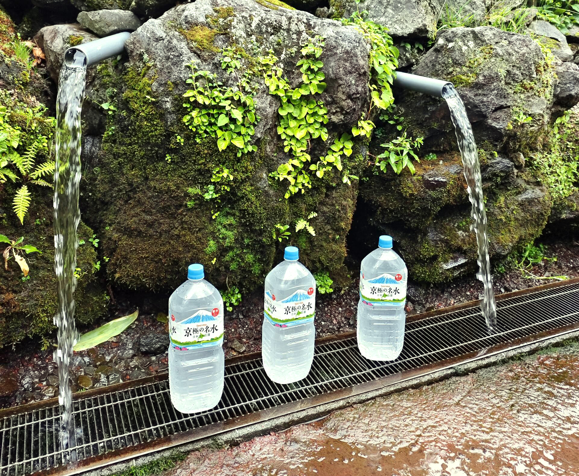 如果你隨身帶了瓶子,記得裝一瓶“羊蹄山的味道”,清涼甘甜得令人難忘。 如果你隨身帶了瓶子,記得裝一瓶“羊蹄山的味道”,清涼甘甜得令人難忘。