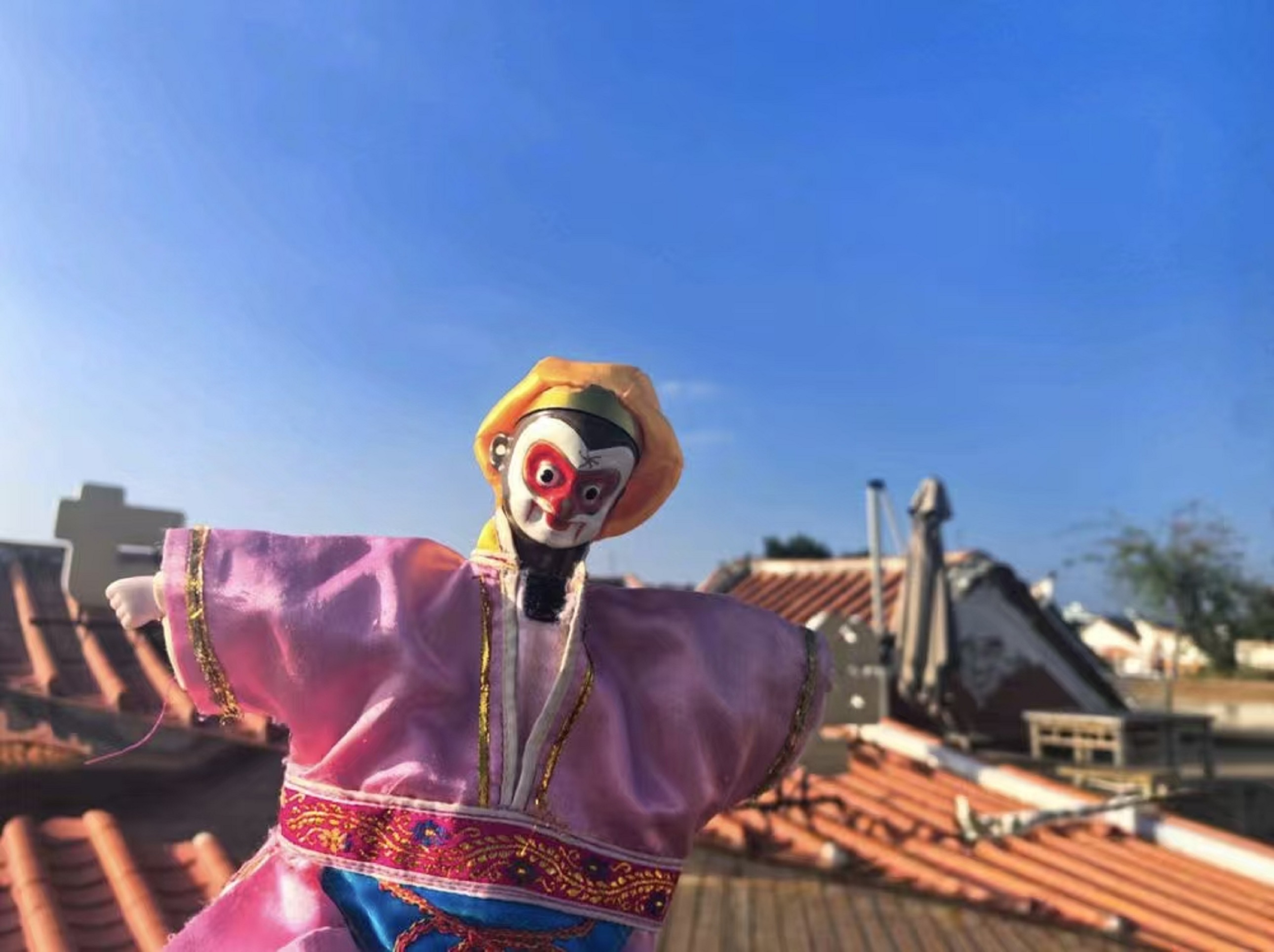 身後的藍天襯得它像從戲本里跳出來，落在了菸火人間的簷角