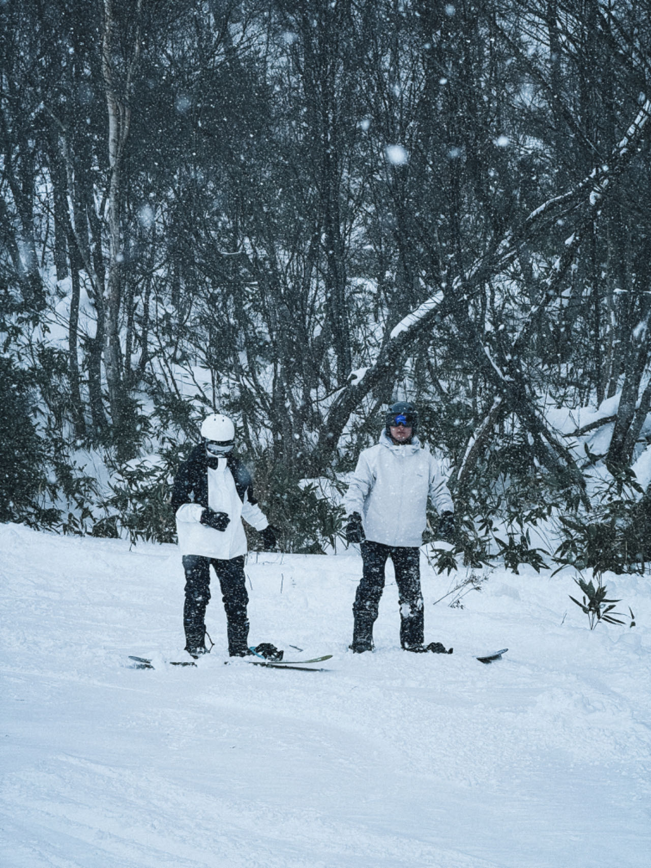 札幌出發丨國際滑雪場全包一日遊丨北海道旅遊局（HTO）官方認證