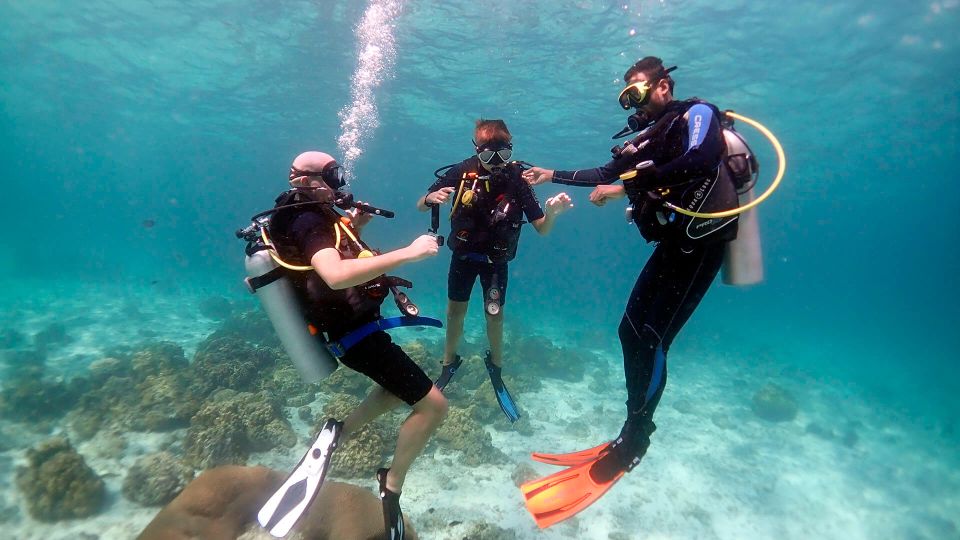 赫爾格達：潛水入門 & 浮潛之旅含午餐