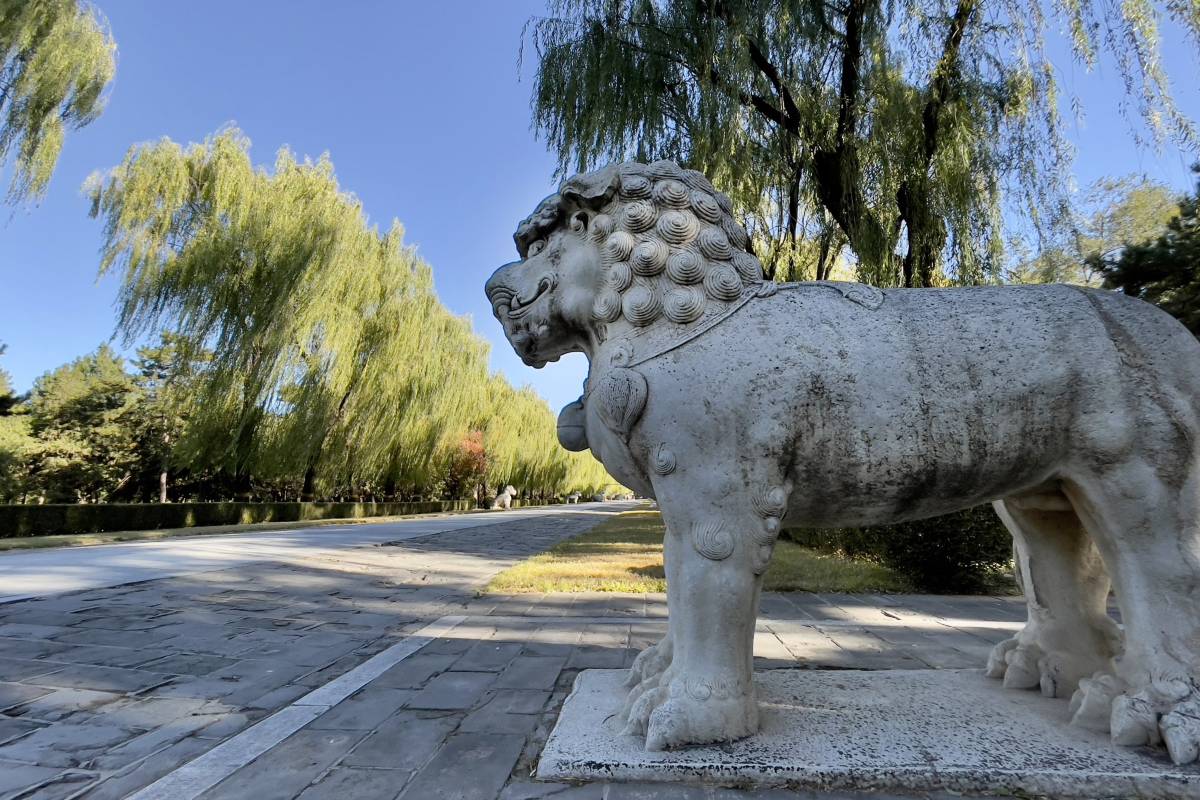 午餐後，乘車前往明十三陵，這片氣勢恢宏的皇家陵寢區域，宛如一部生動的明史教科書，靜靜訴說著明朝的興衰榮辱。它埋葬著明朝的十三位皇帝，是中國古代皇家陵寢建築的傑出代表，凝聚著深厚的歷史文化底蘊。抵達後，首先遊覽神路。神路是明十三陵的第一個景點，堪稱整個陵區的序幕。這條長達 7.3 公里的神道上，排列著石獸、石人等 36 座精美的石像生，它們或威嚴莊重，或栩栩如生，彷彿在默默守護著這片皇家陵園。這些石像生不僅是藝術珍品，更象徵著帝王生前的儀衛和死後的排場，從中可以感受到古代皇家陵寢規制的嚴謹與宏大。